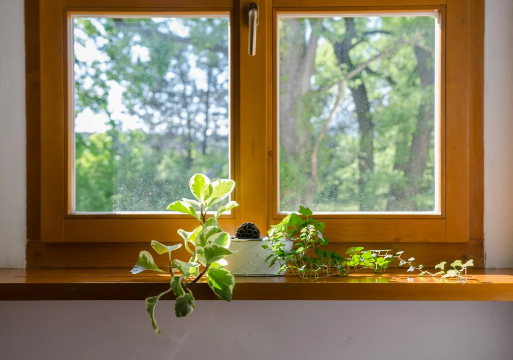 How Much Does Fogged Glass Replacement Cost? A Guide for Grand Strand Homeowners